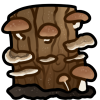 Mushroom Log